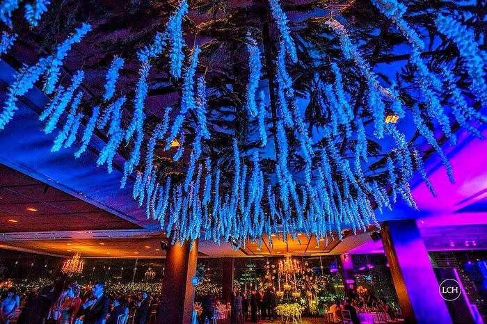 Terraza-Bar